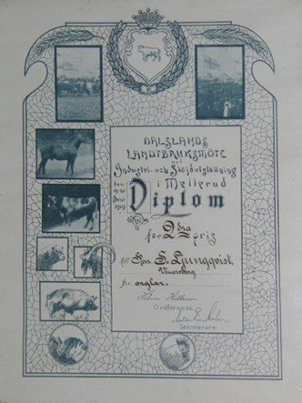 S-Ljungqvist-diplom-Mellerud-1909-rot2-kopiera.jpg S-Ljungqvist-diplom-Mellerud-1909-rot2-kopiera.jpg