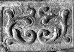 Roos-1731-(Malmoe-3929)